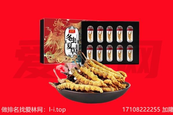 运城永济市回收虫草.jpg